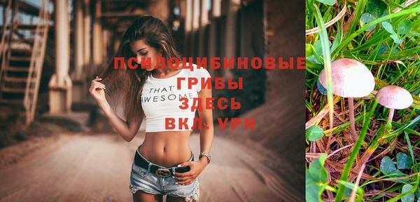 MDMA Карпинск