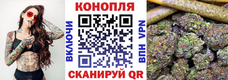 Конопля планчик Билибино